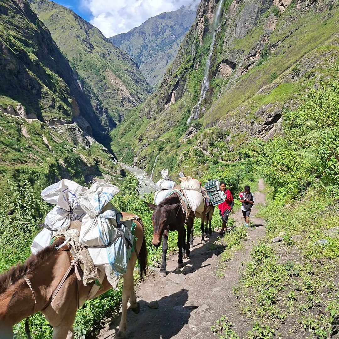 manaslu_0007_20250927_134010