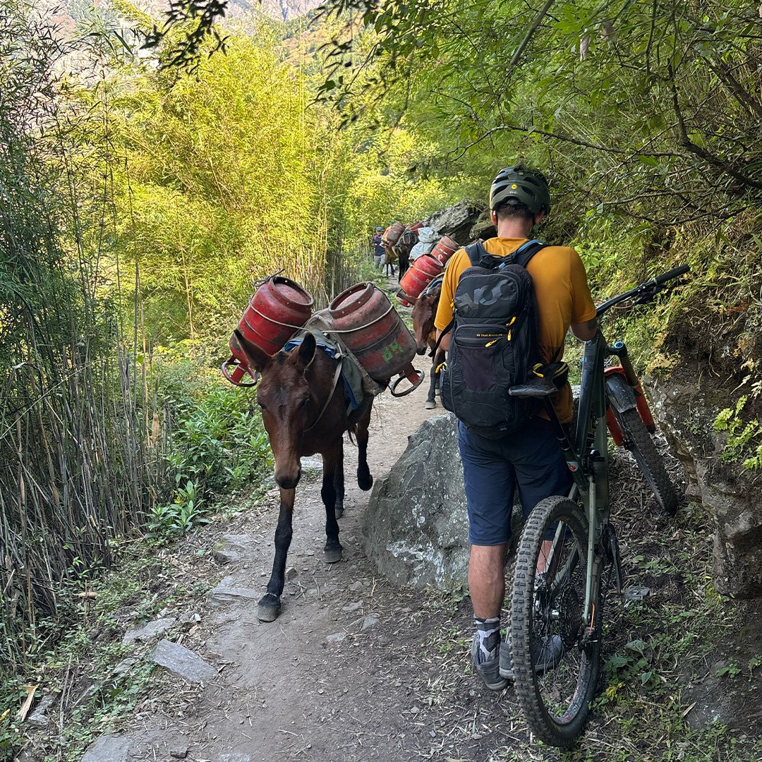 manaslu_0010_IMG_7991